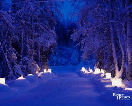 Free download free late winter desktop wallpaper Fish 