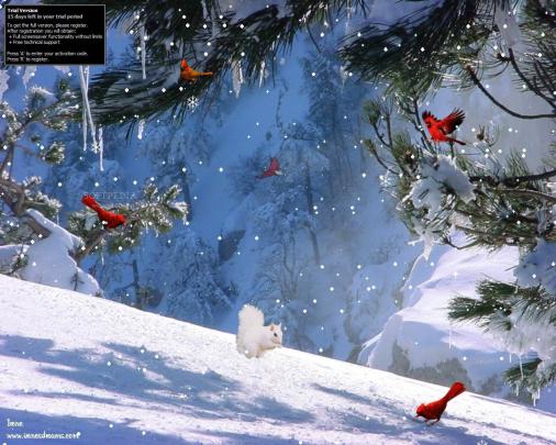 Free Winter Wallpaper and Screensavers -