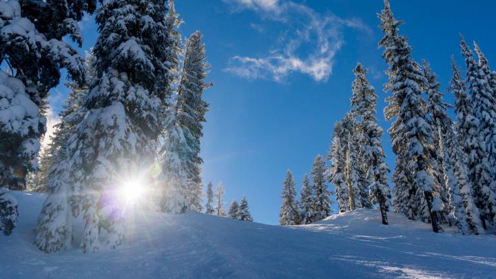 28+ Winter Forest Wallpaper 4k - Basty Wallpaper