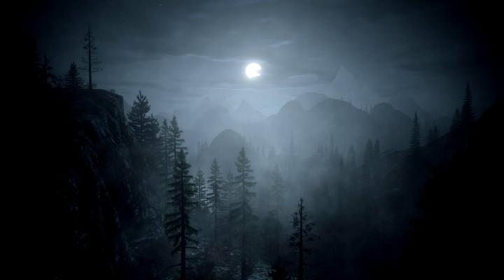 Best Of Ultra Hd Dark Forest Wallpaper 4k Photos