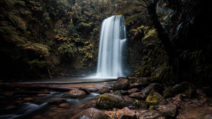 7680x4320 Waterfall Forest 8k HD 4k Wallpapers, Images, Backgrounds 