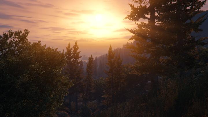 Forest Wallpaper 4k Gta 5 - Nature Wallpaper