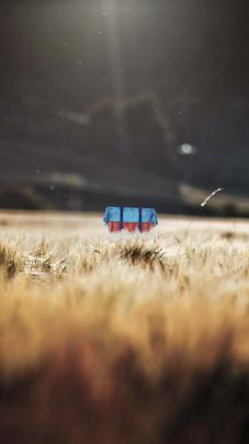 Iphone Hd Wallpaper 4K For Mobile 1920X1080 - Go-images Web