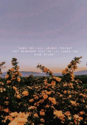 Aesthetic Desktop Wallpaper 4K Quotes \/ 6845 Nevertheless She Persisted 