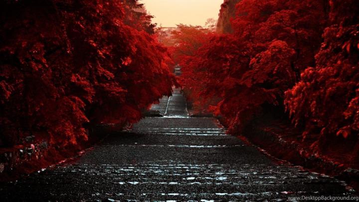 Japan Wallpaper 4K (67+ images)