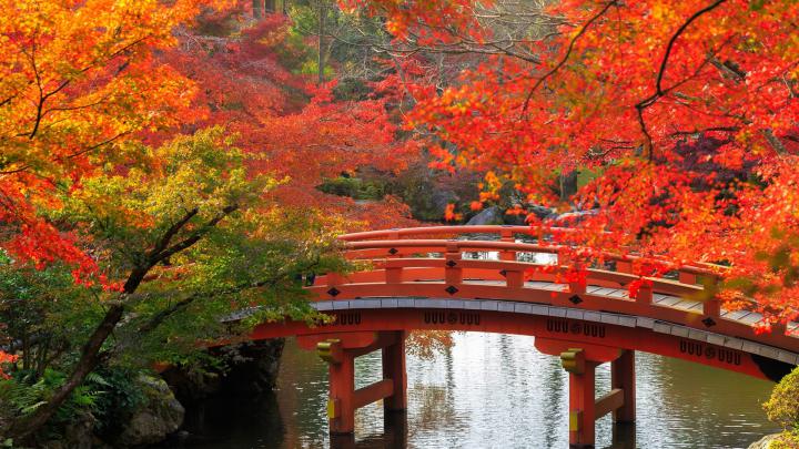 20+ Autumn Japan Wallpaper 4k - Basty Wallpaper
