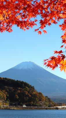 20+ Autumn Japan Wallpaper 4k - Basty Wallpaper