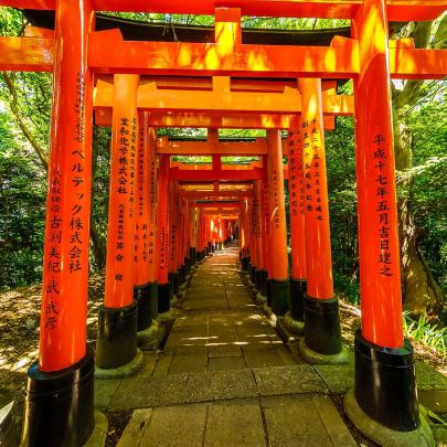 Elegant Japan Wallpaper 4k - Gorilla Wallpaper
