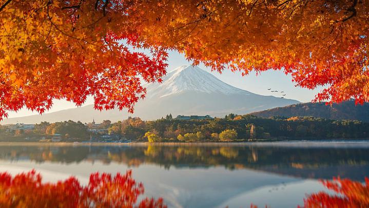 20+ Autumn Japan Wallpaper 4k - Basty Wallpaper