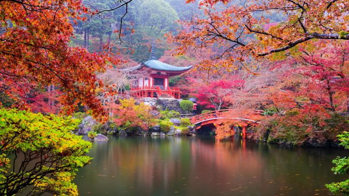 Japan Nature Wallpaper 4k - Wallpaper