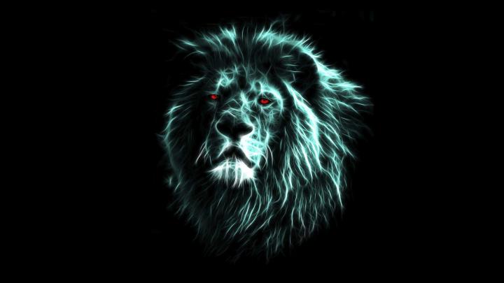 Amoled Lion Wallpaper 4K - Lion Wallpaper Pictures Hd Images Free 