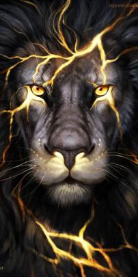 Lion Wallpaper 4k 3d - Bank Of Wallpaper