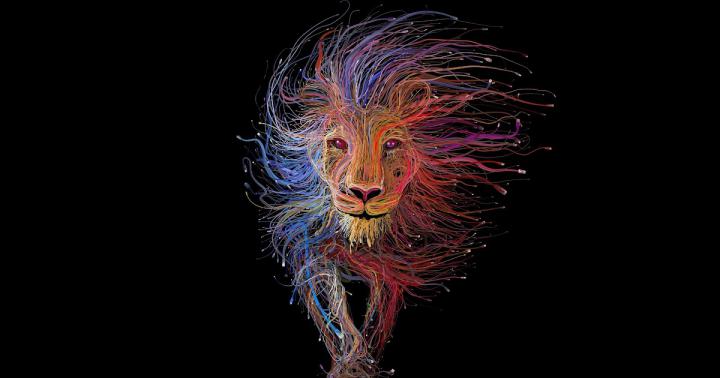 Colorful Lion Wallpaper 4k - Free Hd Wallpaper 4K II