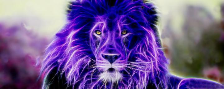 Purple lion, lion, colorful, Fractalius HD wallpaper | Wallpaper Flare