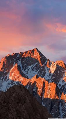 Vertical Wallpapers