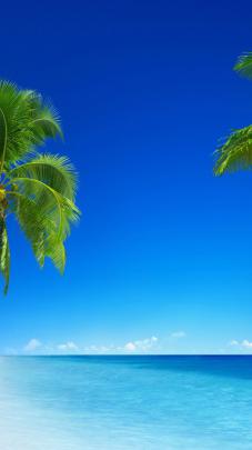 4K Vertical Wallpapers - Top Free 4K Vertical Backgrounds - WallpaperAccess