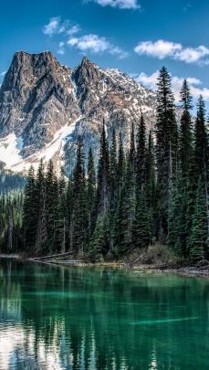 Mountain in forest Wallpaper 4k Ultra HD 5769
