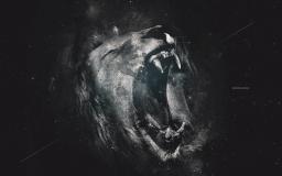 Lion Wallpaper 4k