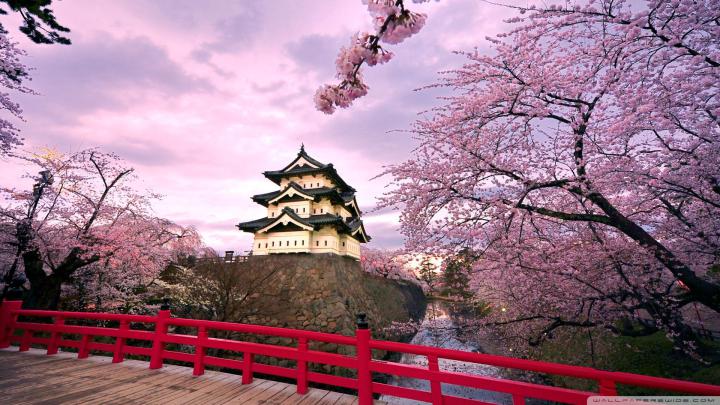 Japanese HD Wallpapers - Top Free Japanese HD Backgrounds - WallpaperAccess