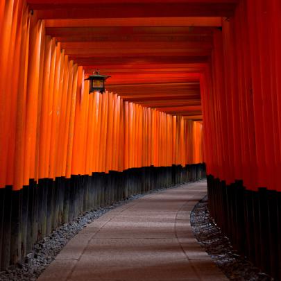 Luxury Japanese Wallpaper 4k - Gorilla Wallpaper