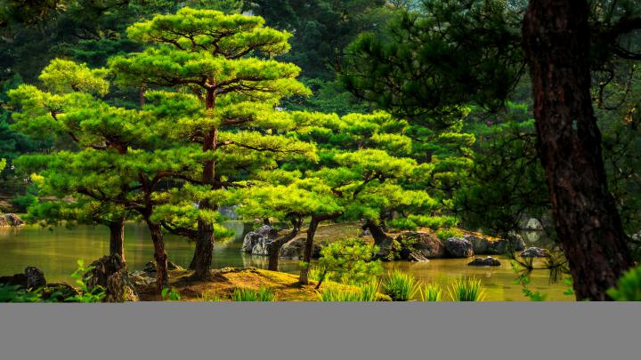 Japanese Wallpaper 4K : Mountain Castle Japan 4k, HD Artist, 4k 