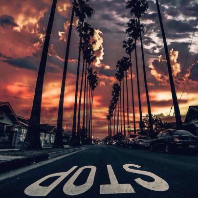 Inspirational Los Angeles Wallpaper 4k - Gorilla Wallpaper