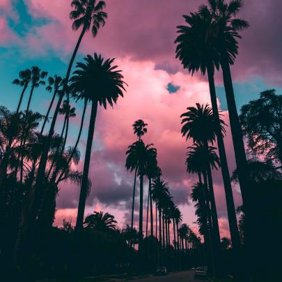 Inspirational Los Angeles Wallpaper 4k - Gorilla Wallpaper