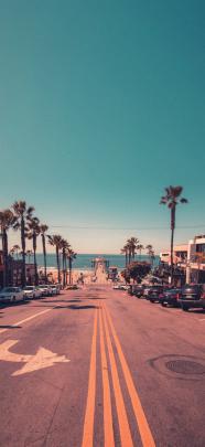 California, Beach, And Palm Trees Image - Los Angeles Wallpaper 4k 