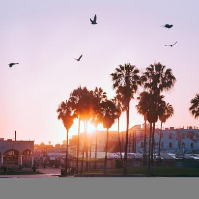Inspirational Los Angeles Wallpaper 4k - Gorilla Wallpaper