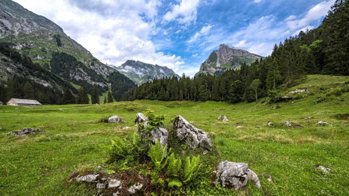 Beauty and peace of Switzerland nature wallpaper - backiee