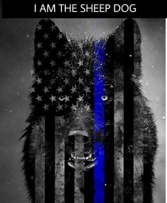 Thin Blue Line Wallpapers - Top Free Thin Blue Line Backgrounds 