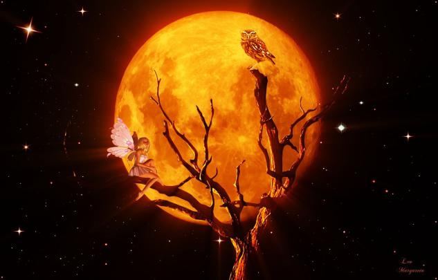 Orange Moon Wallpapers - Top Free Orange Moon Backgrounds - WallpaperAccess