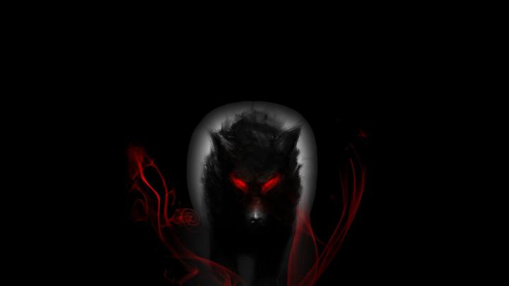 Free download Pics Photos Cool Wolf Backgrounds [1920x1080] for your 