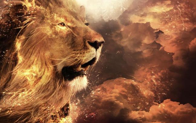 Mighty Lion Wallpaper,1920x1080 Hd Wallpaper,animals - Animal Wallpaper 