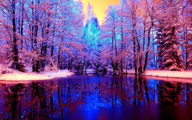Purple Winter Wallpaper -