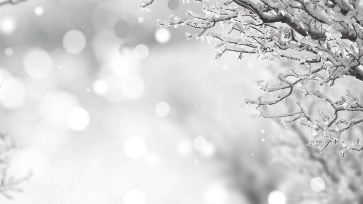 Free Desktop Wallpaper Winter Holiday - Black And White Winter 
