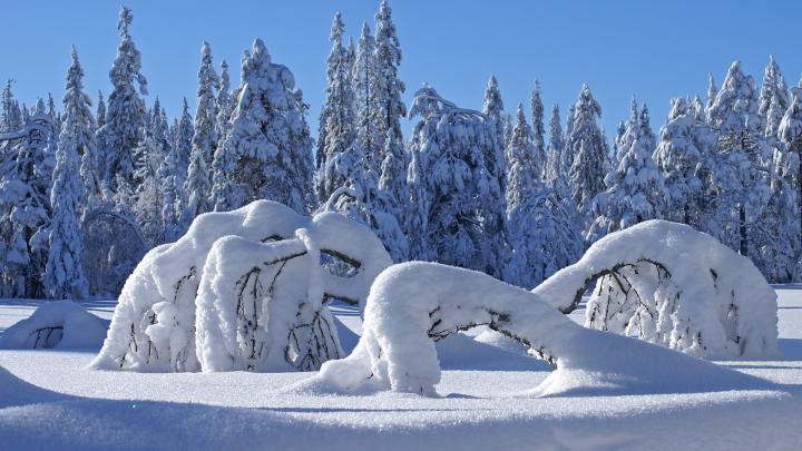 Winter Wallpaper 1920x1080 -