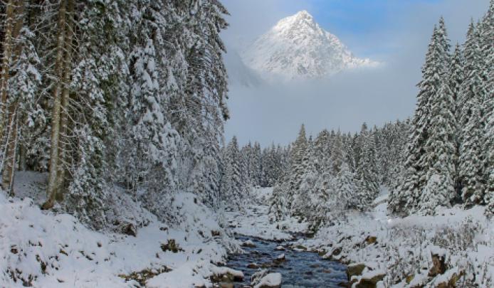 Gratis Wallpaper Winter 1920x1080