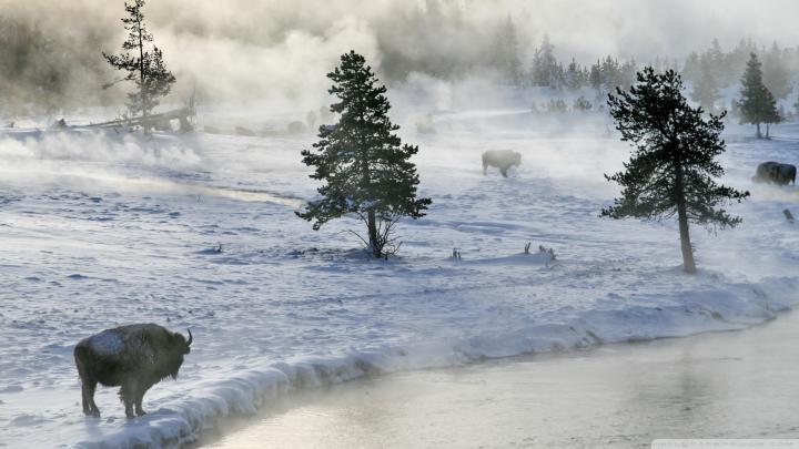 Winter Wallpaper 1920x1080 -