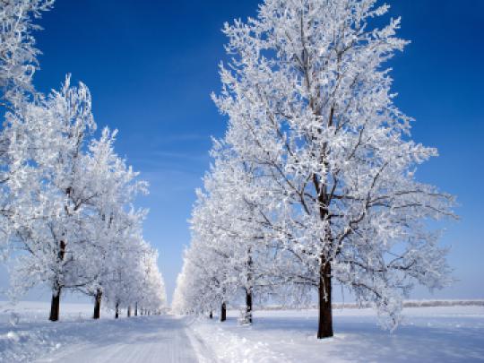 Free download Country Road Winter Wallpaper 1920x1080 Snowy Country 