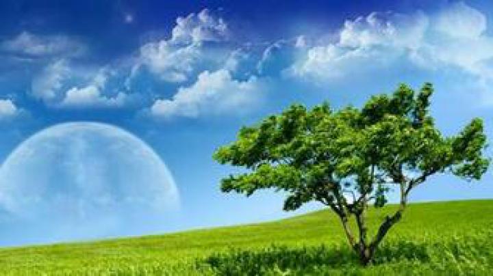 Free download 1366x768 Mountain View desktop PC and Mac wallpaper 