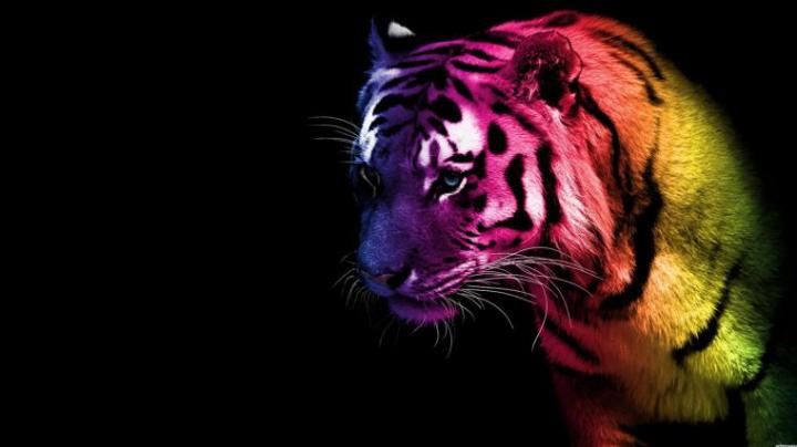 Free download HD Windows 7 Wallpapers HD Wallpapers [1366x768] for your 