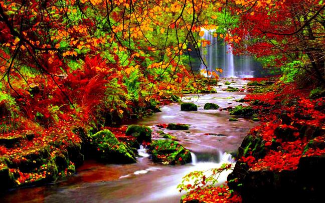 Download Autumn River Wallpaper Full Hd Autumn River Wallpaper - Fall 