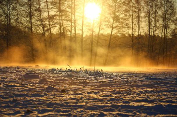 170 Nature Full Hd Wallpapers 1920X1080 - bmp-pudding