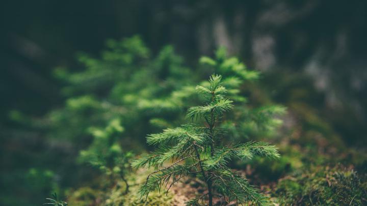 Nature 4k Wallpaper For Laptops (#2569968) - HD Wallpaper \u0026 Backgrounds 