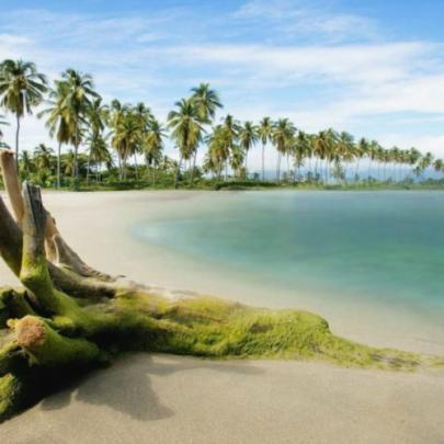 Download Full Hd Nature Wallpapers - Nature Hd Wallpapers For Windows 