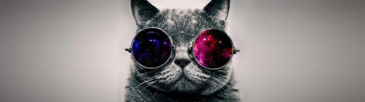 High Resolution Cat And Dog Dual Monitor Wallpaper - Dogs And Cats 