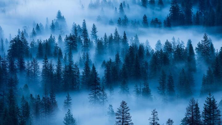 [1920x1080] Yosemite Fog (Bing wallpaper) : wallpaper