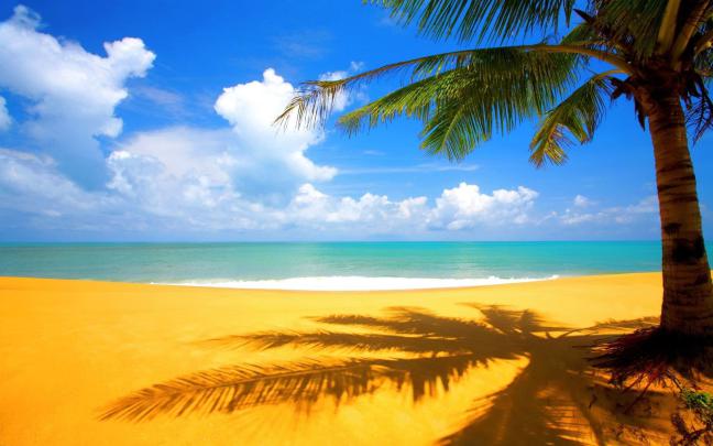 Aesthetic Beach Laptop Wallpapers - Top Free Aesthetic Beach Laptop 