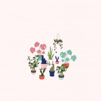 Plant Best Wallpaper - Aesthetic Wallpaper Laptop - 1920x1080 Wallpaper 
